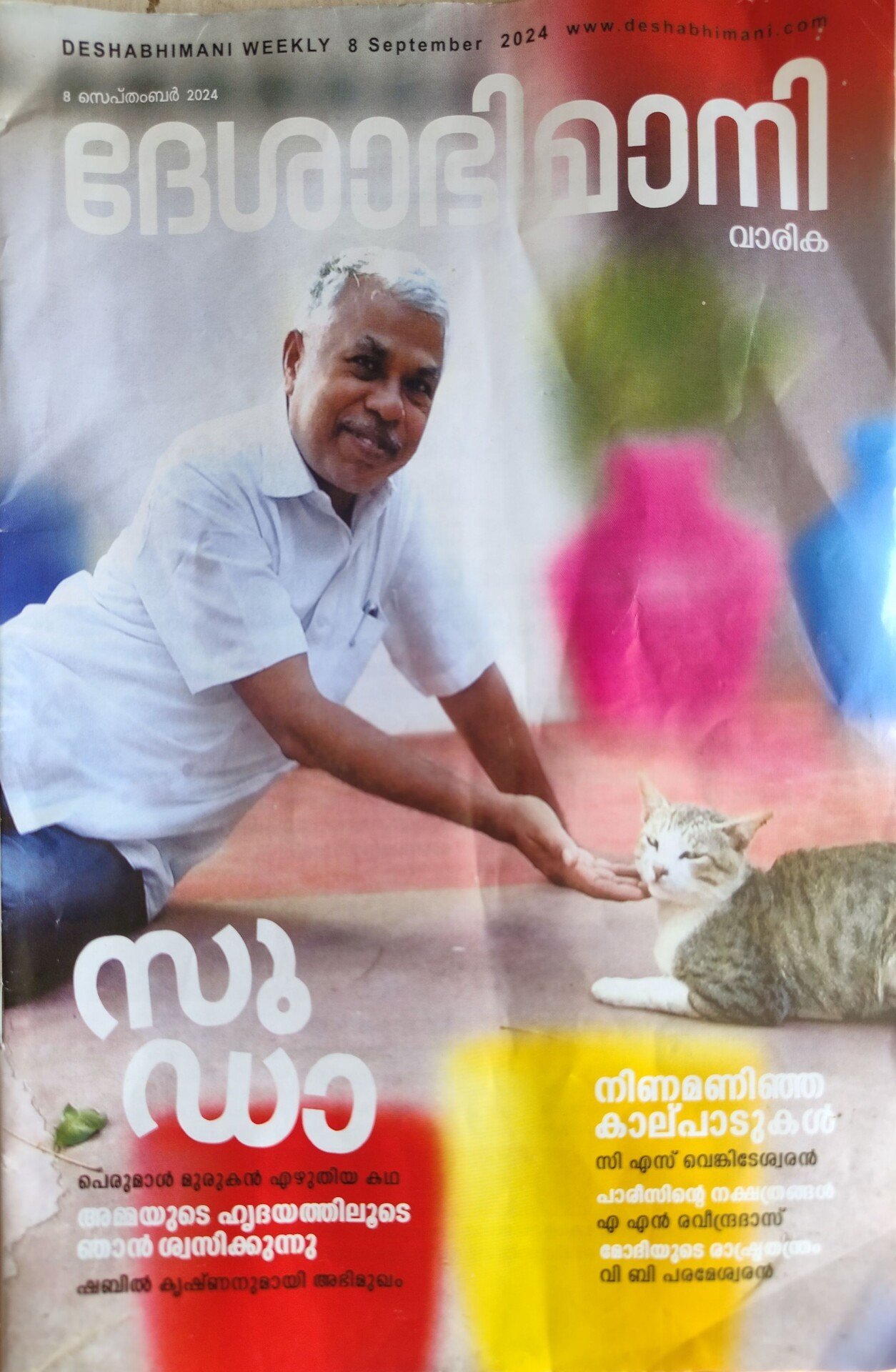 Read more about the article 24/82