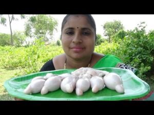 Read more about the article   ‘அவிச்சு எடுத்த ஆட்டுப்பந்து’