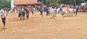 பொங்கல் நாளில் நடுகல் வழிபாடு