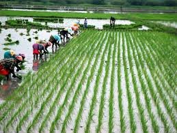 வரம்பெலாம் முத்தம்