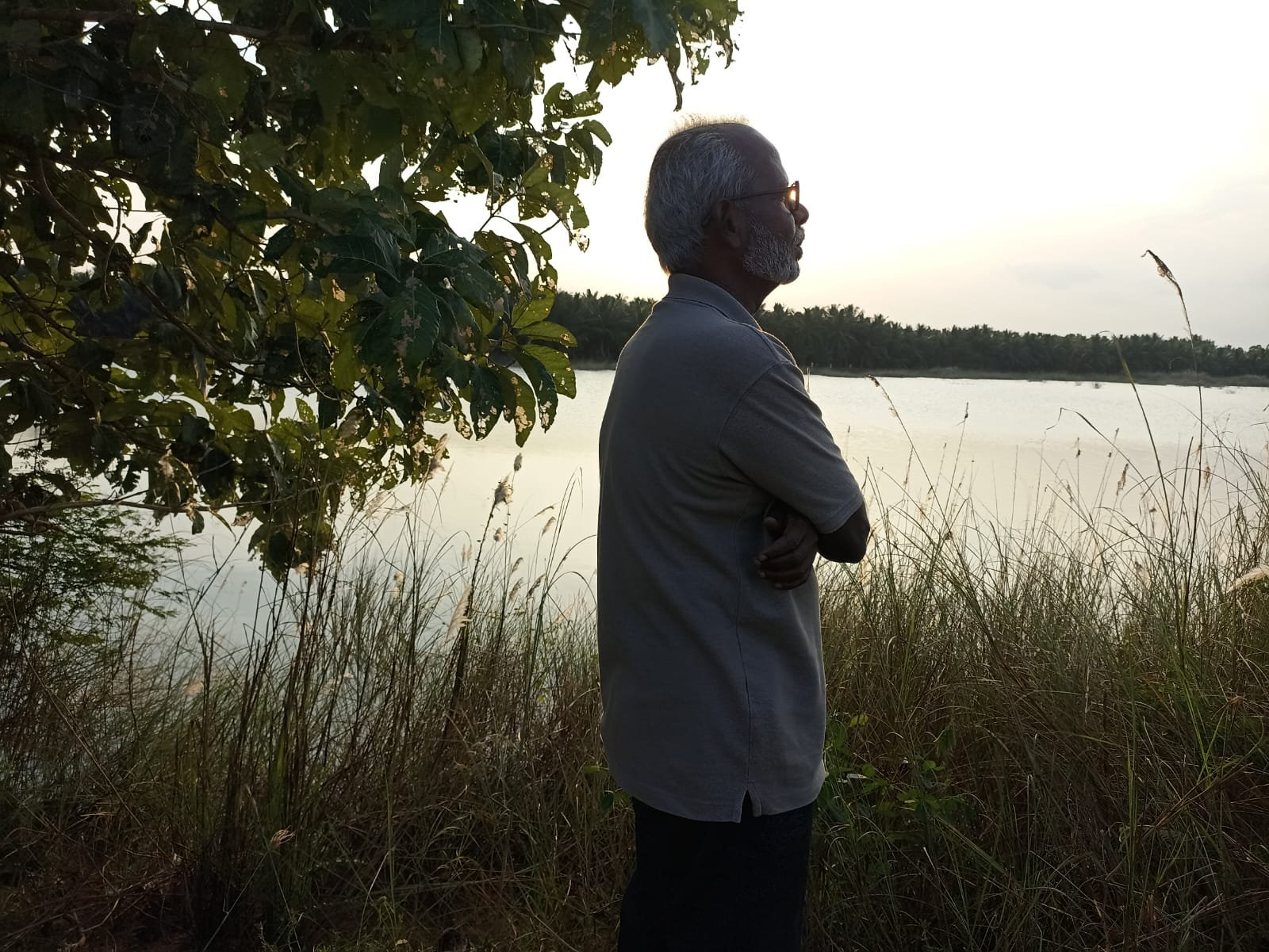 Read more about the article சூறை! சூறைதான் அது! – 5