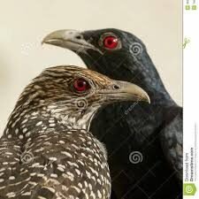 மீனெலாம் களிக்கும் மாதோ!